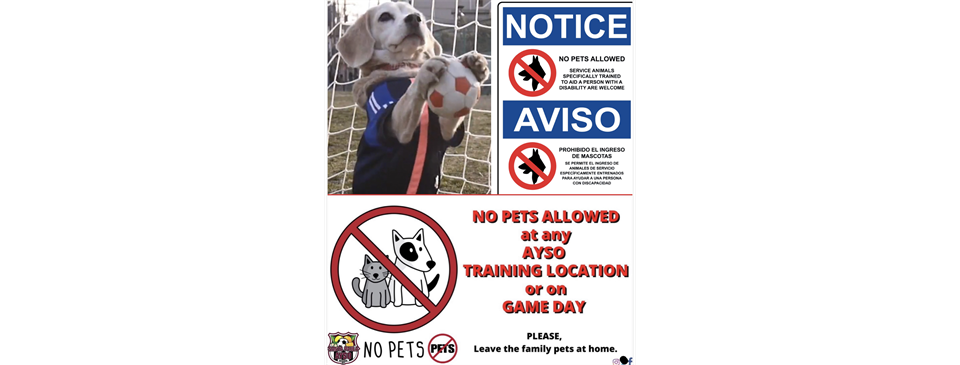 NO PETS ALLOWED!